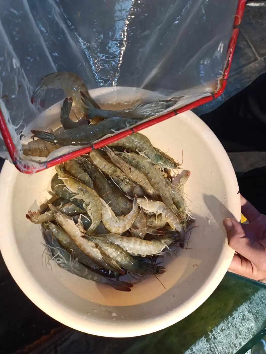 火爆！每天卖200多公斤！很多昆明人爱吃！老板：一天一个价