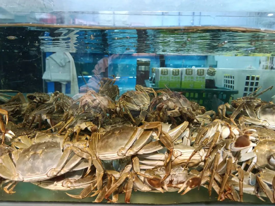 火爆！每天卖200多公斤！很多昆明人爱吃！老板：一天一个价