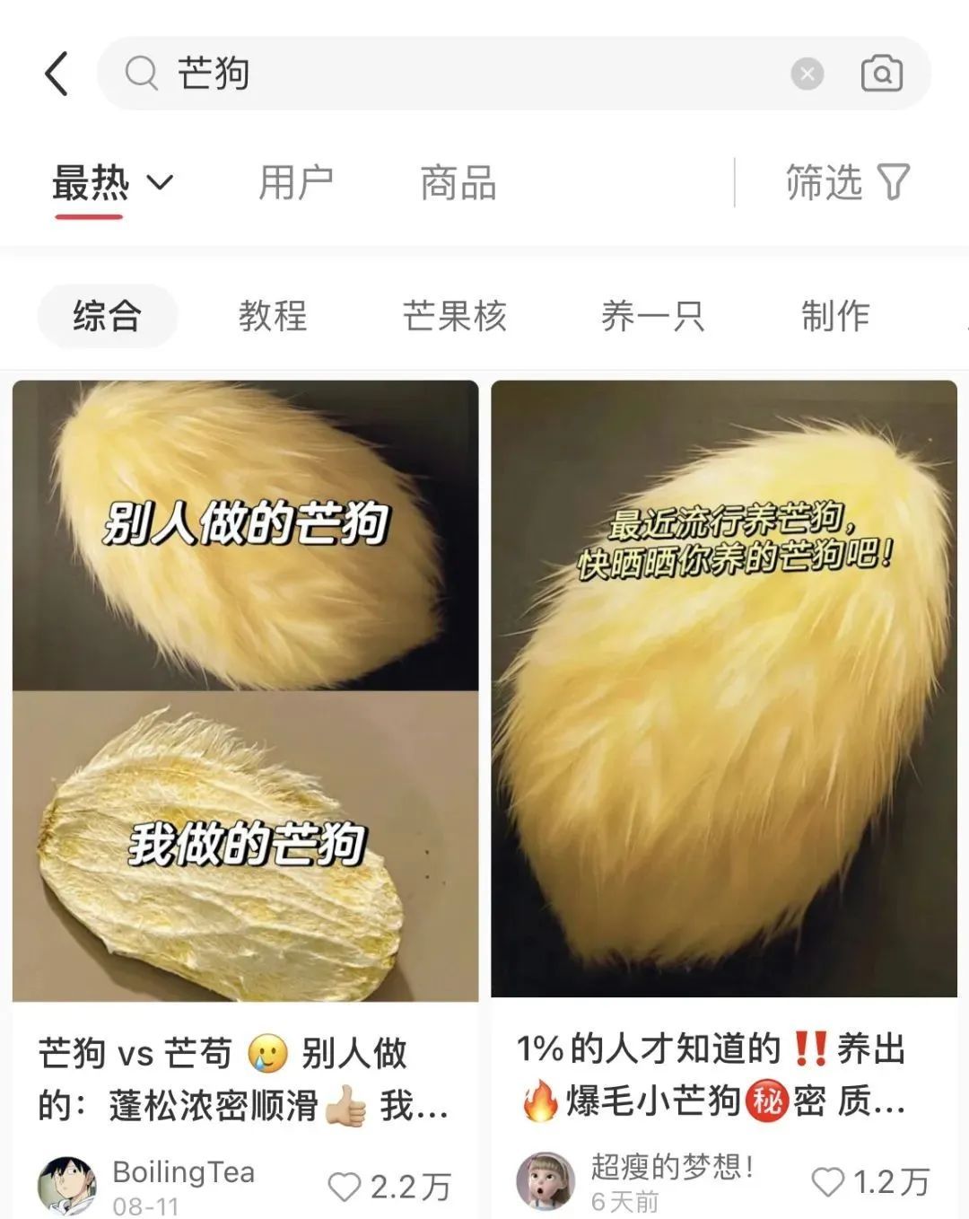 突然火了！合肥年轻人养宠，已经next level