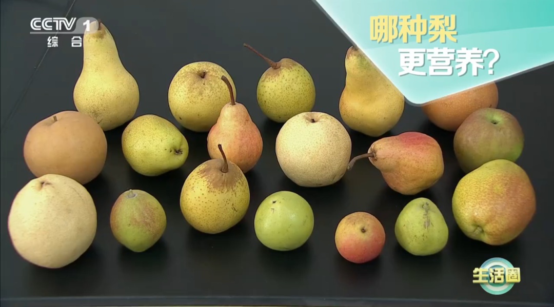 “一梨润三秋”!秋天吃梨有啥讲究?赶紧收藏 “一梨润三秋”!秋天吃梨有啥讲究?赶紧收藏
