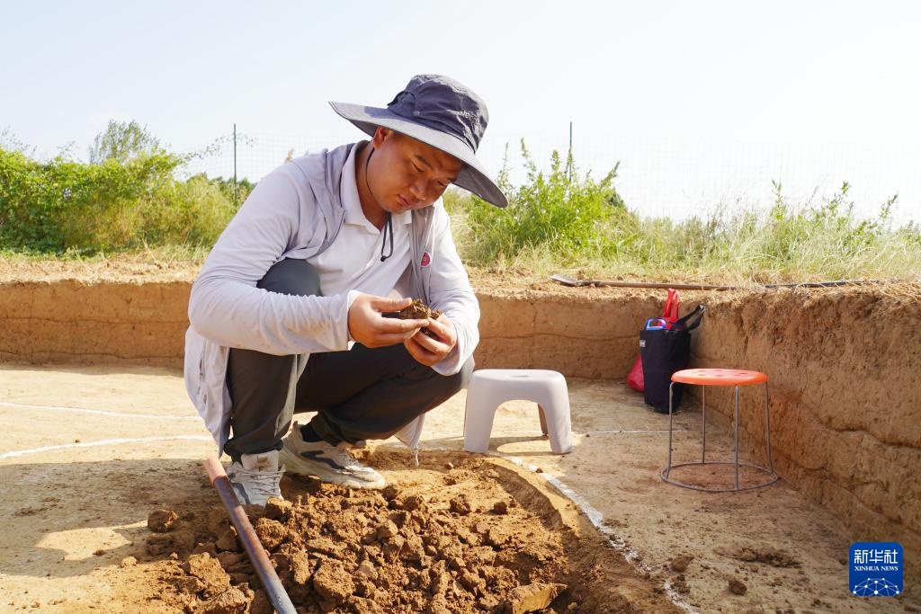 新华全媒+丨河南南阳发现夏王朝区域中心城邑 与二里头遗址高度一致 新华全媒+丨河南南阳发现夏王朝区域中心城邑 与二里头遗址高度一致