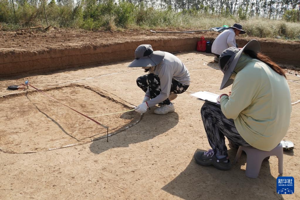 新华全媒+丨河南南阳发现夏王朝区域中心城邑 与二里头遗址高度一致 新华全媒+丨河南南阳发现夏王朝区域中心城邑 与二里头遗址高度一致