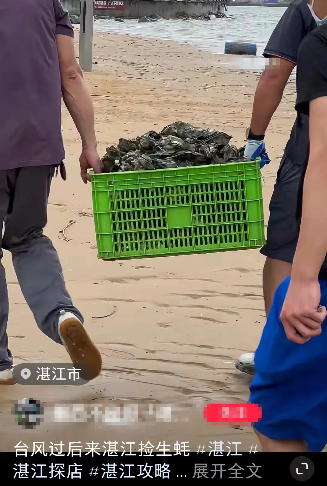 广东有海滩上满是生蚝,有人用车装→ 广东有海滩上满是生蚝,有人用车装→