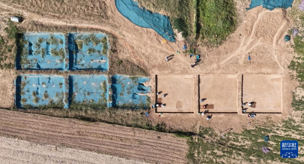 新华全媒+丨河南南阳发现夏王朝区域中心城邑 与二里头遗址高度一致 新华全媒+丨河南南阳发现夏王朝区域中心城邑 与二里头遗址高度一致