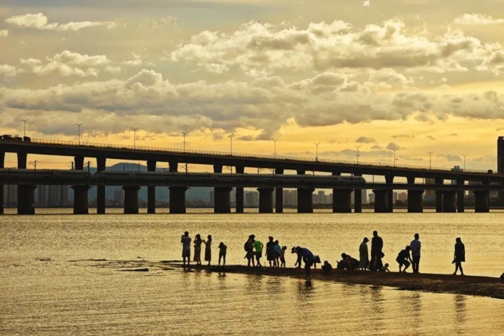 拉风又出片!这些打卡点能拍到绝美高铁风光 拉风又出片!这些打卡点能拍到绝美高铁风光