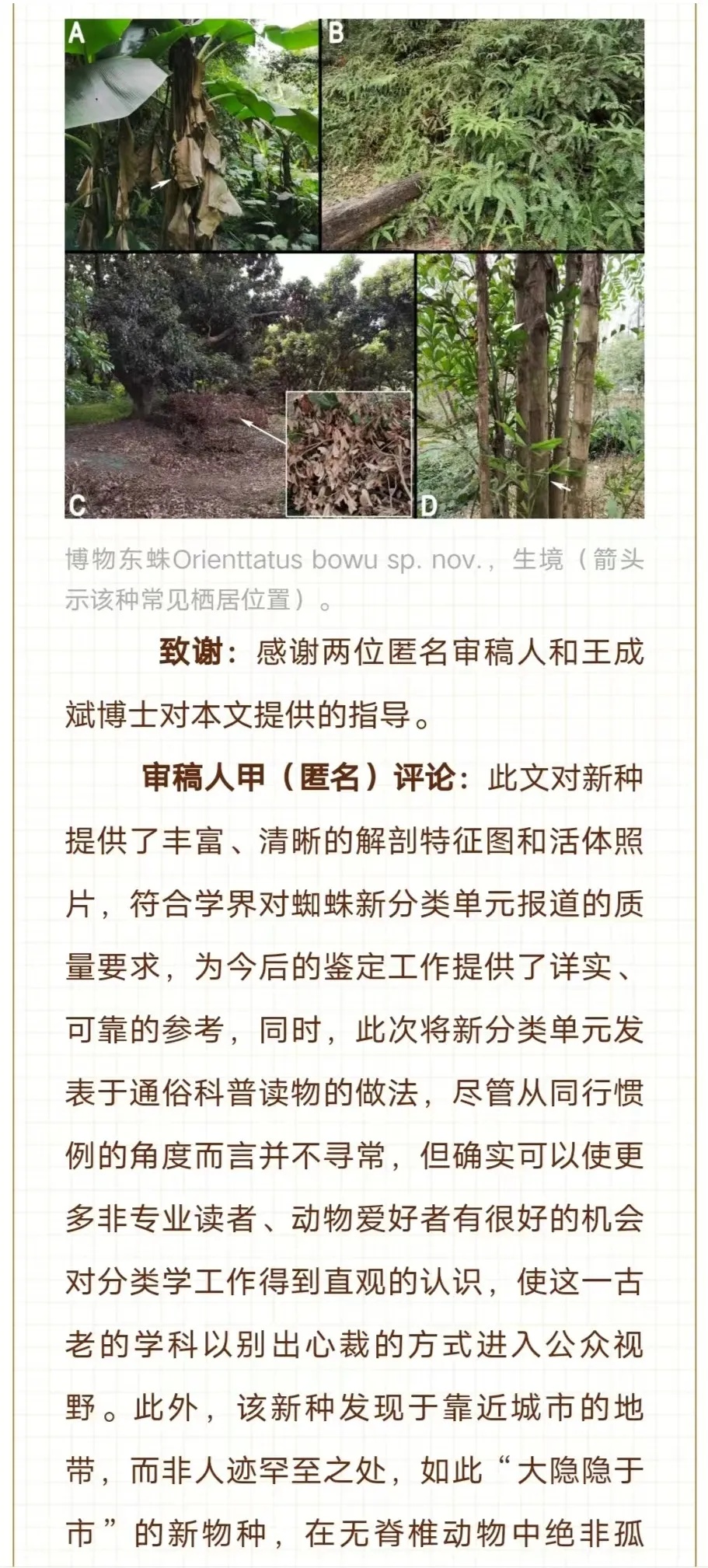 广州市区发现新物种！“只因多看了你一眼”