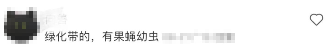 深圳街头长满莲雾,吃,还是不吃? 深圳街头长满莲雾,吃,还是不吃?