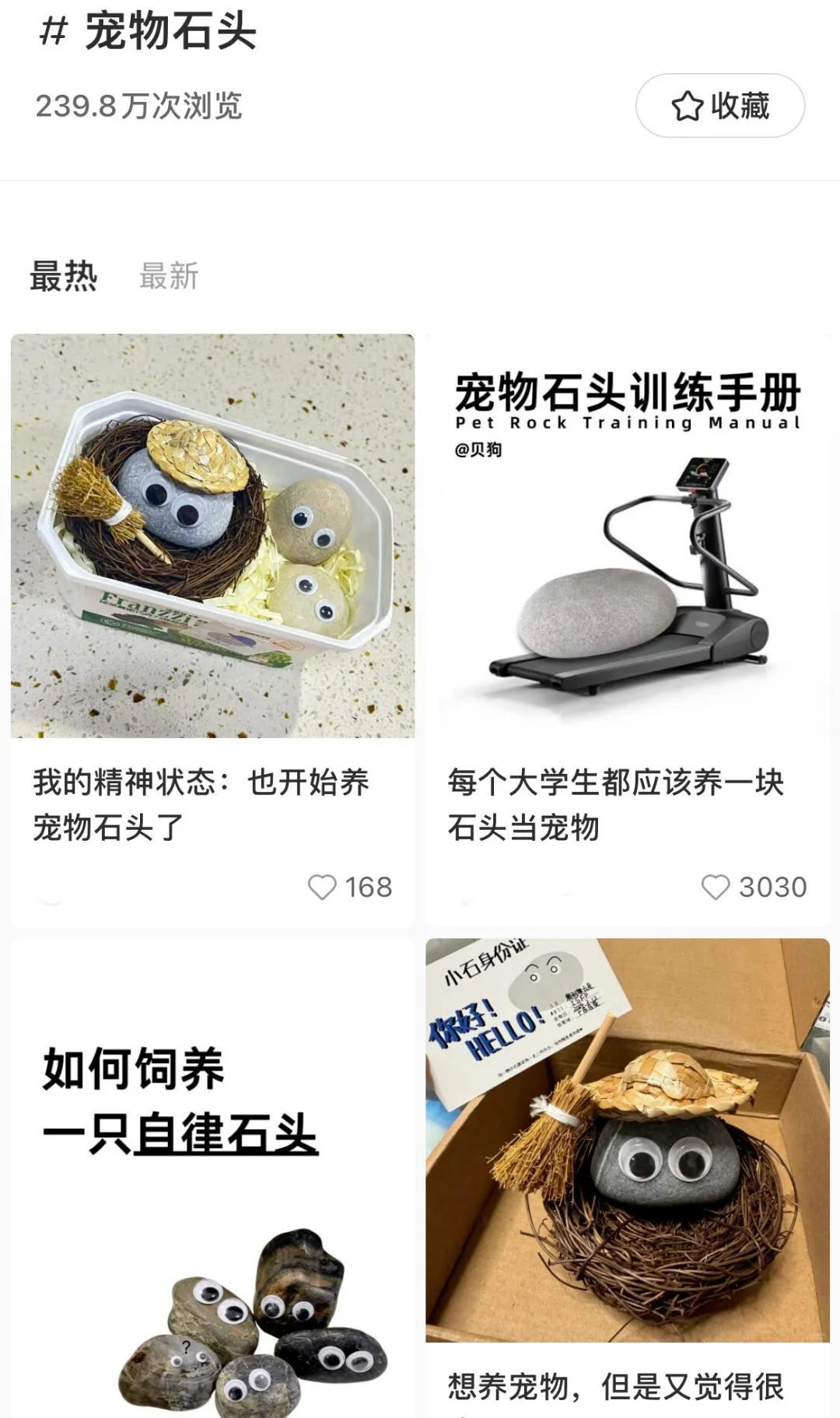 突然火了！合肥年轻人养宠，已经next level