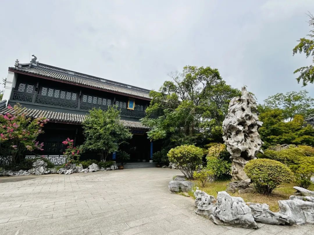 金山文宗阁内,藏着一棵两百多年的“降龙木” 金山文宗阁内,藏着一棵两百多年的“降龙木”