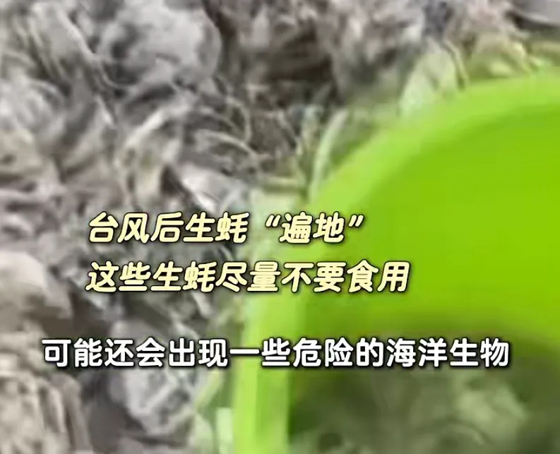 “想捡多少就多少”，有人用车装……专家提醒：危险！不要吃