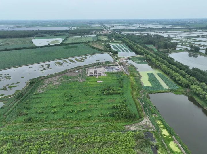 重磅发布！江苏首次发现江北滨海湿地型史前遗址