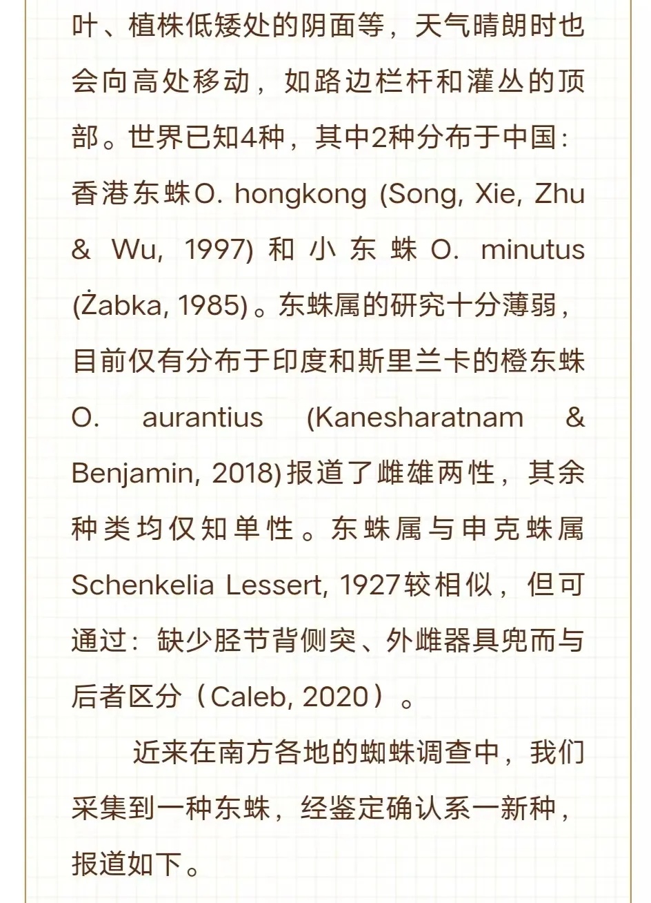 广州市区发现新物种！“只因多看了你一眼”