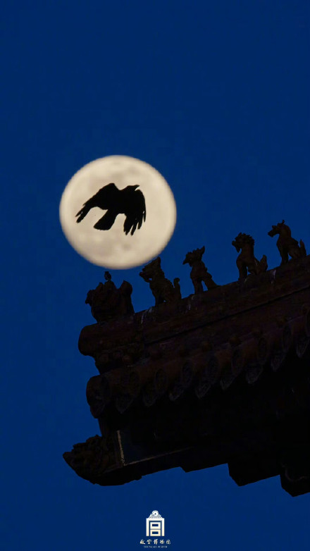 收藏！故宫月亮壁纸上新