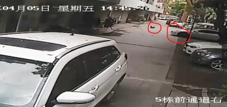 5岁女童小区内玩耍被碾身亡，公安责令重新调查
