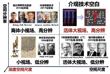 “看穿”大脑！清华团队又又研发一台超级显微镜