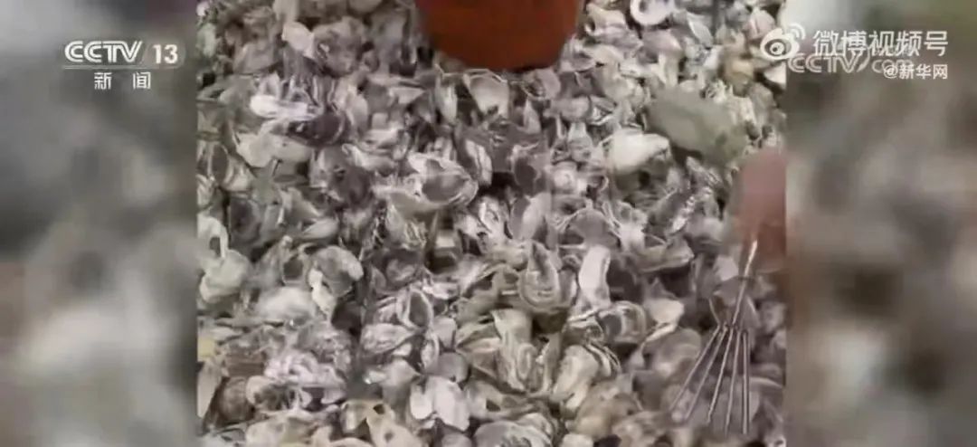 “天降海鲜”为啥不能捡？专家详解