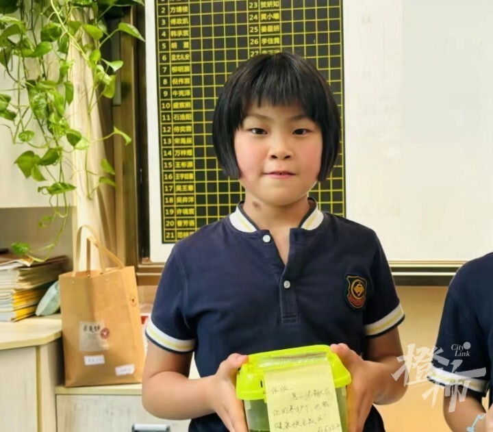 二年级女生养蜗牛5个月生了几百只宝宝，送给同学当礼物！妈妈：送不完，根本送不完