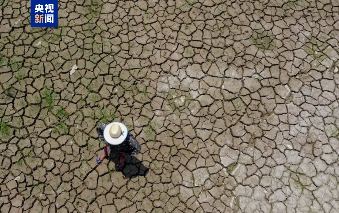 巴西遭遇罕见大范围旱灾 各级政府积极采取应对措施 巴西遭遇罕见大范围旱灾 各级政府积极采取应对措施