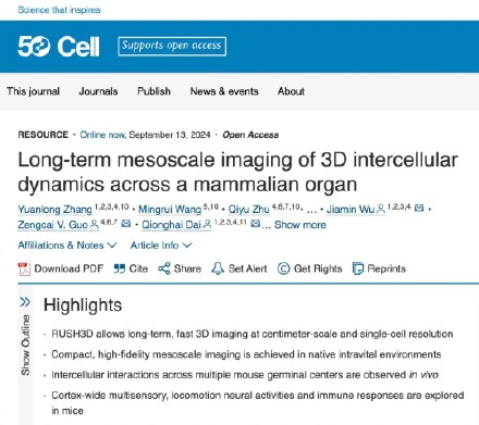 “看穿”大脑！清华团队又又研发一台超级显微镜