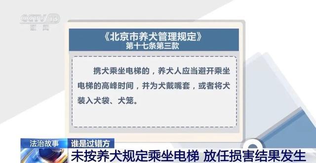 狗咬人被踢伤，狗主人索赔6万元！法院判了
