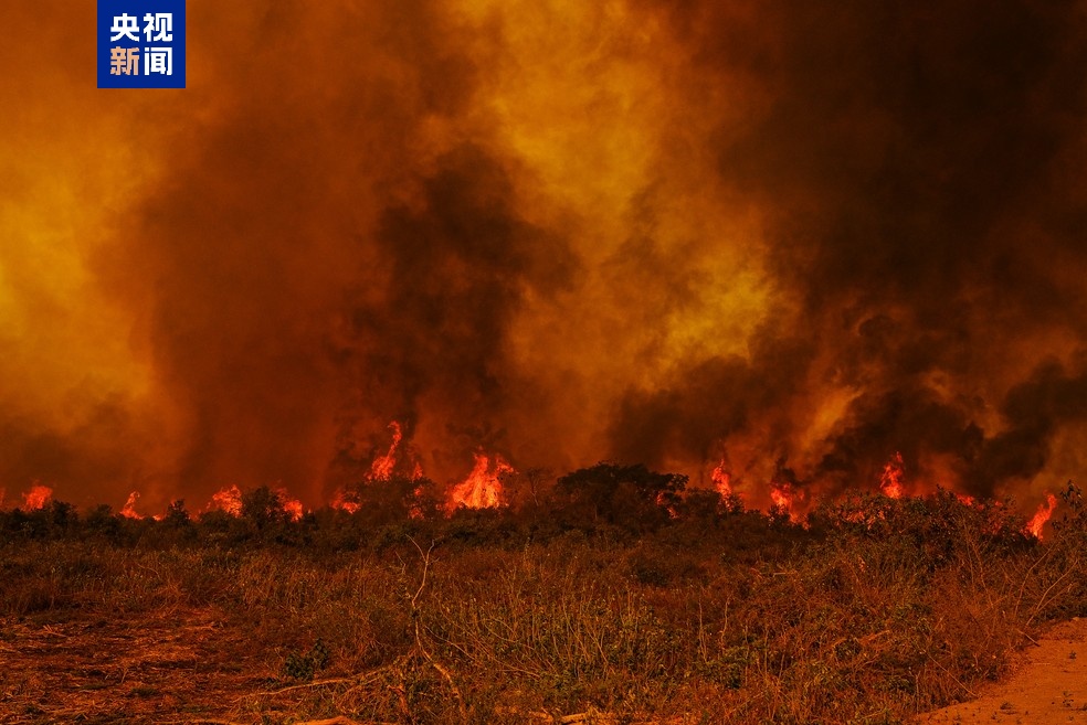 巴西遭遇罕见大范围旱灾 各级政府积极采取应对措施 巴西遭遇罕见大范围旱灾 各级政府积极采取应对措施