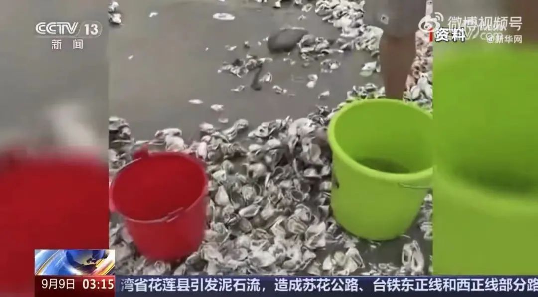 “天降海鲜”为啥不能捡？专家详解