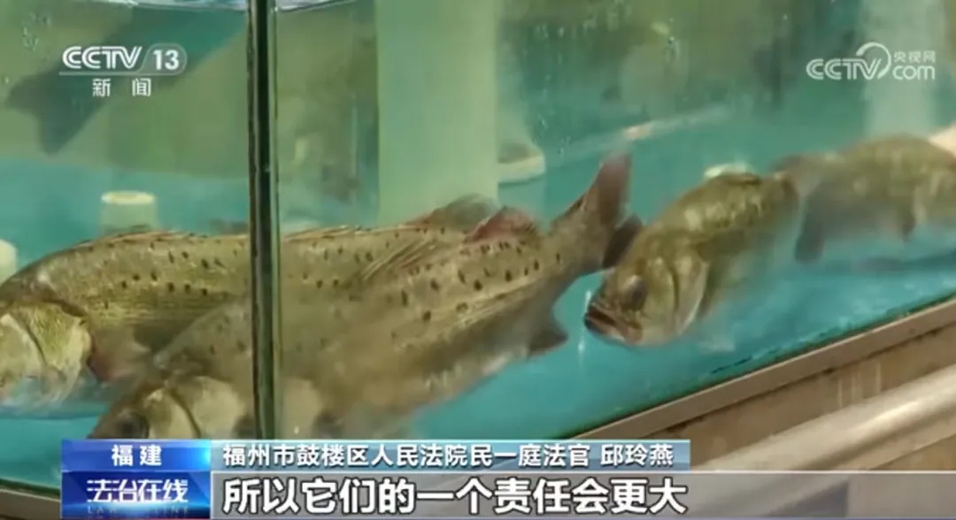 索赔22万！女子超市买鱼被刺八级伤残，法院判了