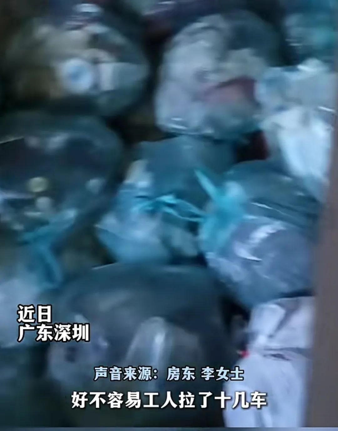 “蟑螂、老鼠进去都迷路”！广东一房东开门一看，忍不了……