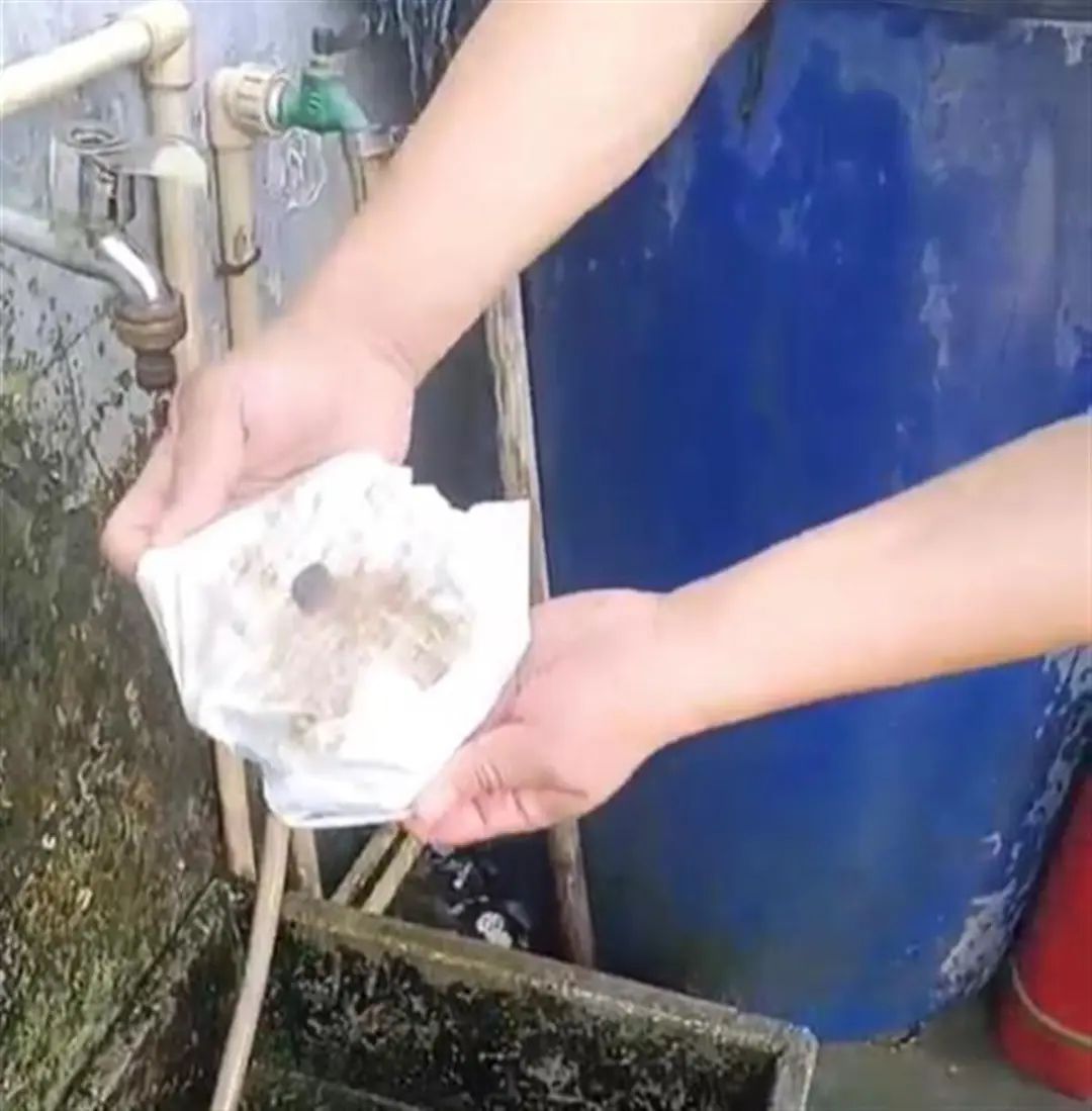 “自来水中有股腥臭味”，居民不敢食用，当地接连通报→