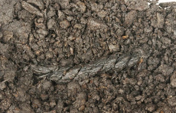 考古新发现：7000年前的泰州，钻木取火器为目前国内所见最早实物