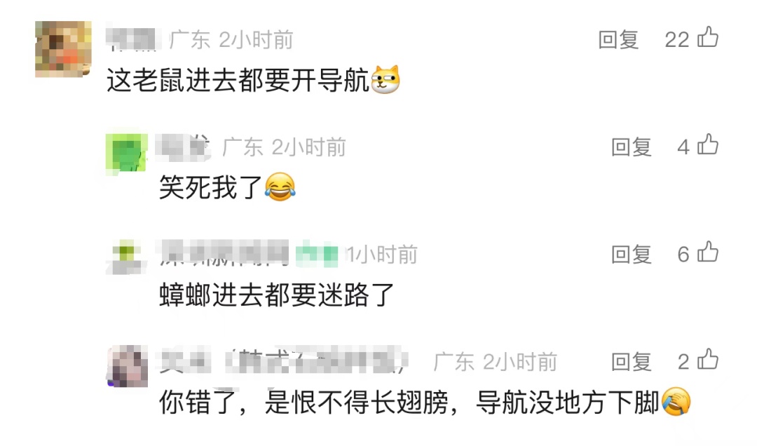 “蟑螂、老鼠进去都迷路”！广东一房东开门一看，忍不了……