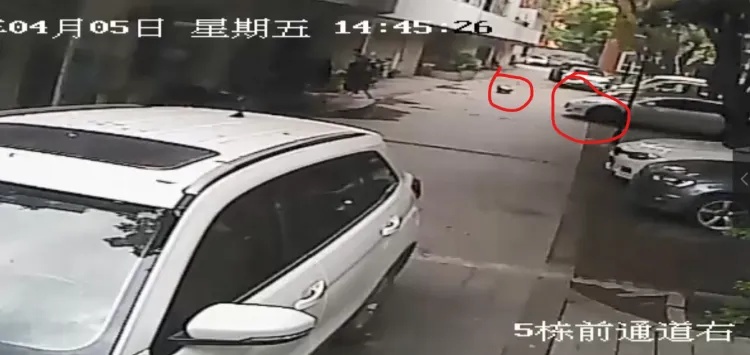 5岁女童被碾压身亡，车主不服权责认定！成都警方最新通报