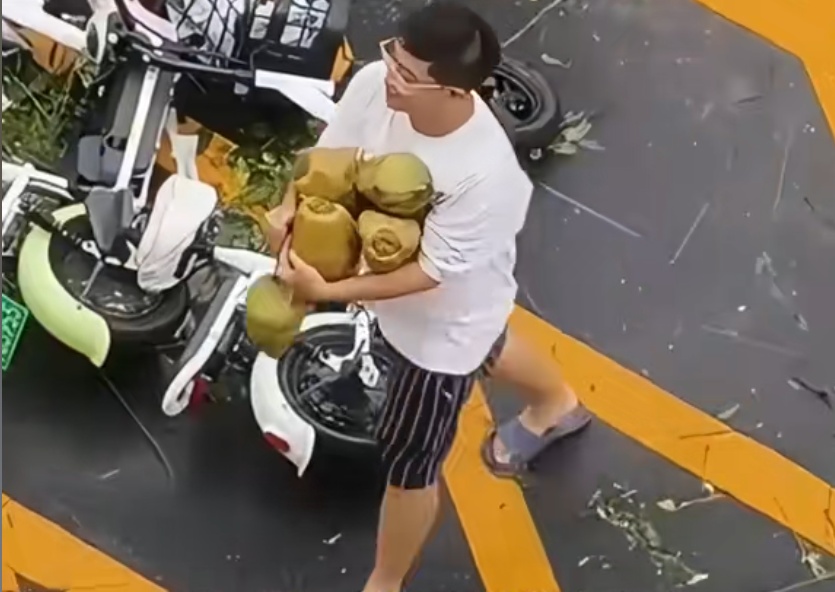 太诱人!“想捡多少就多少”,有人用车装……专家提醒:危险!不要吃 太诱人!“想捡多少就多少”,有人用车装……专家提醒:危险!不要吃