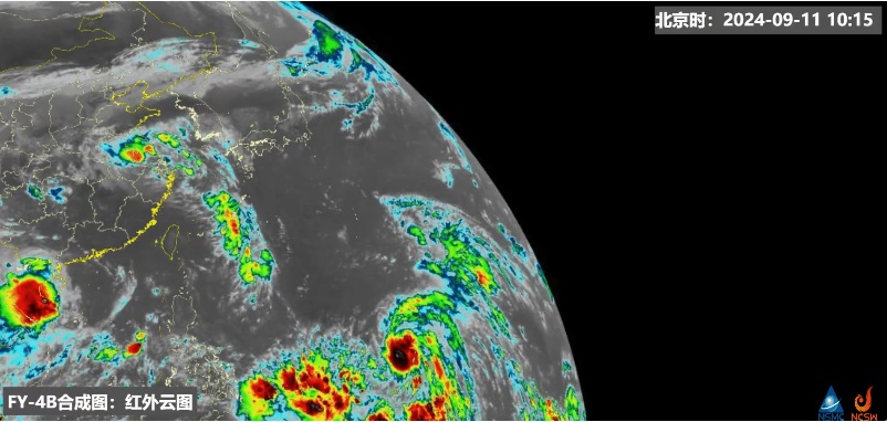 太诱人!“想捡多少就多少”,有人用车装……专家提醒:危险!不要吃 太诱人!“想捡多少就多少”,有人用车装……专家提醒:危险!不要吃