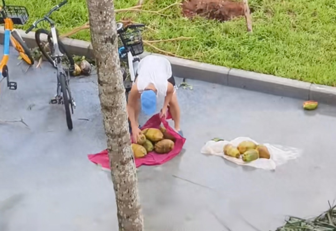 太诱人!“想捡多少就多少”,有人用车装……专家提醒:危险!不要吃 太诱人!“想捡多少就多少”,有人用车装……专家提醒:危险!不要吃