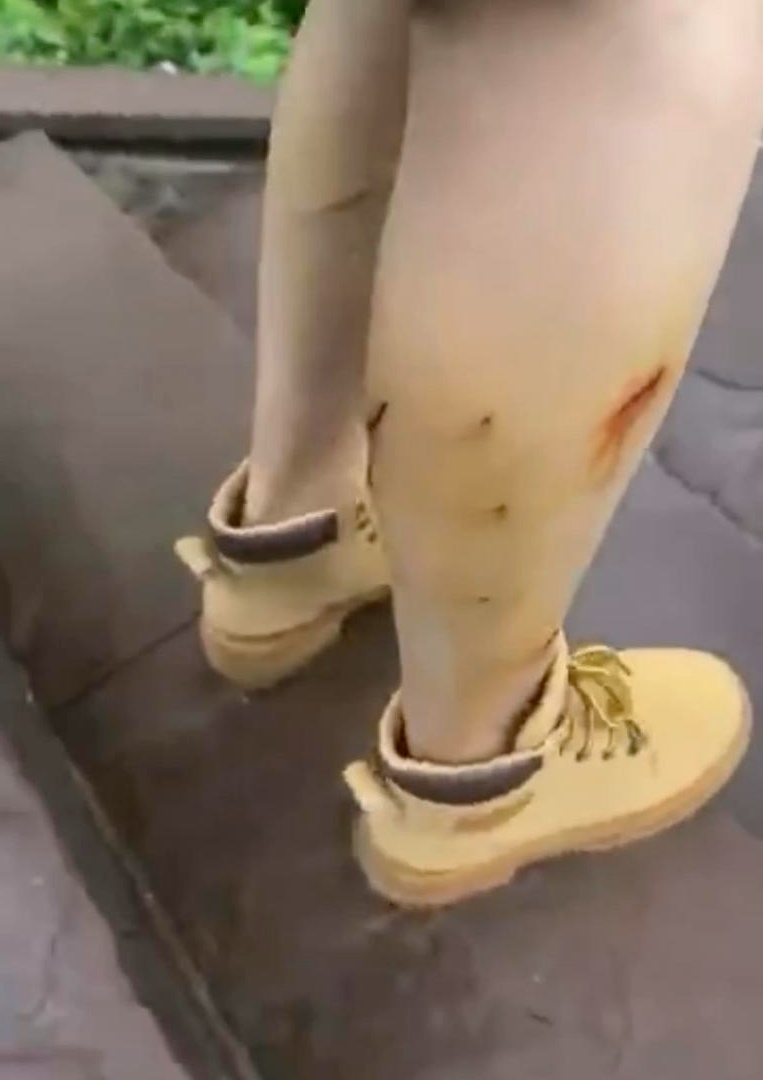 事发知名景区!女游客被猴群抱臀掀裙,景区回应:无计可施… 事发知名景区!女游客被猴群抱臀掀裙,景区回应:无计可施…