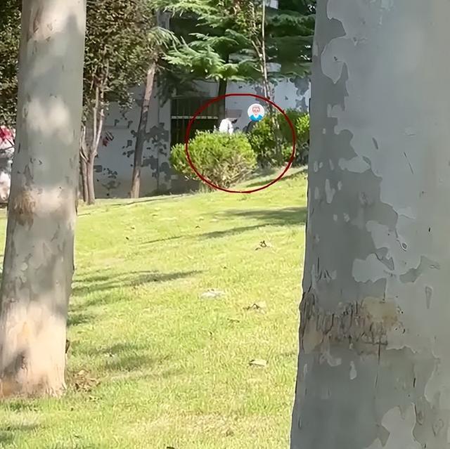 男子寿光街头被捕，竟大喊“救命”…