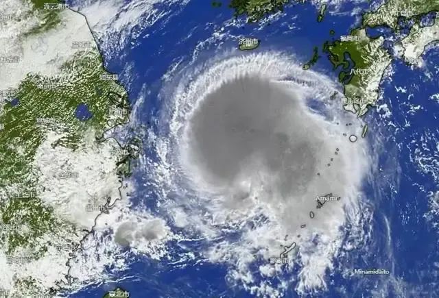 揪心 | 上海一区紧急转移9千余人!非必要不外出!“贝碧嘉”来了→ 揪心 | 上海一区紧急转移9千余人!非必要不外出!“贝碧嘉”来了→