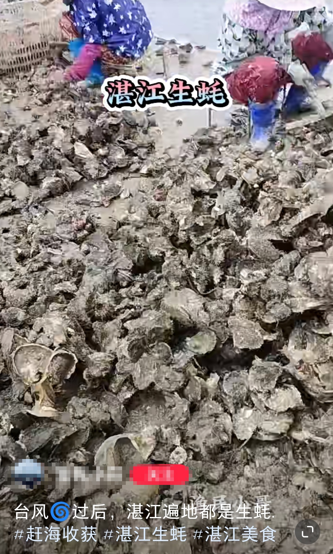 太诱人!“想捡多少就多少”,有人用车装……专家提醒:危险!不要吃 太诱人!“想捡多少就多少”,有人用车装……专家提醒:危险!不要吃