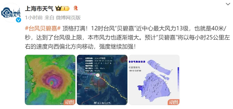 紧急提醒：台风预警升级，这些道路全封闭！“贝碧嘉”登陆上海概率增大→