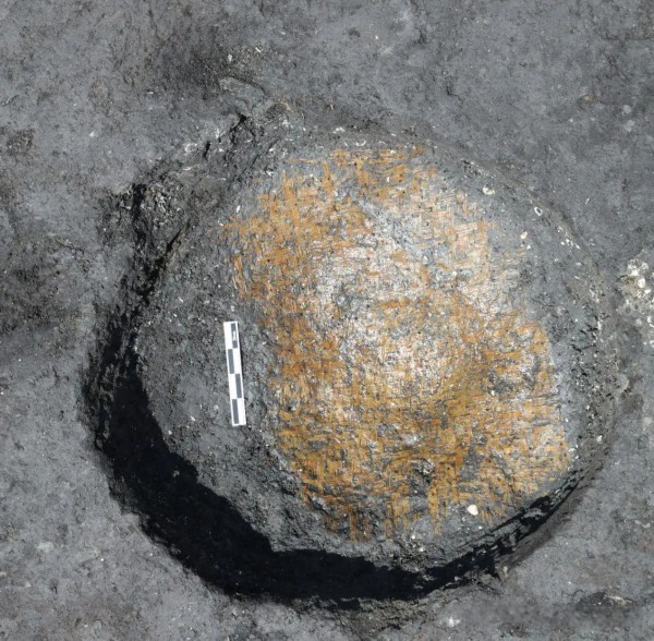 考古新发现：7000年前的泰州，钻木取火器为目前国内所见最早实物