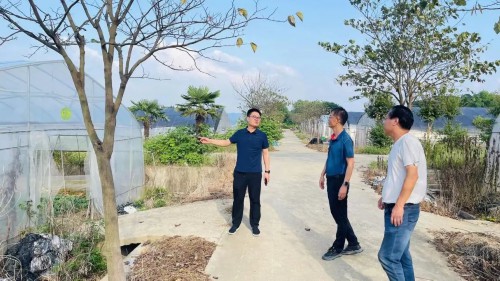 “贝碧嘉”成为75年来登陆上海最强台风！下午进入江苏！严阵以待，守护平安！