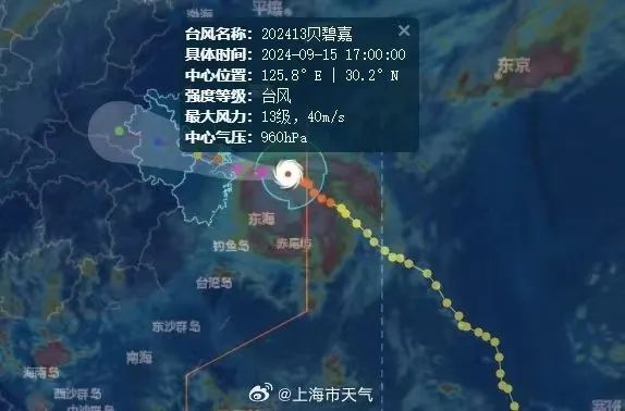 中央气象台发布台风红警！上海两机场20时起所有航班取消