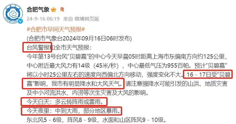 强台风影响合肥！大雨暴雨！10级大风来袭