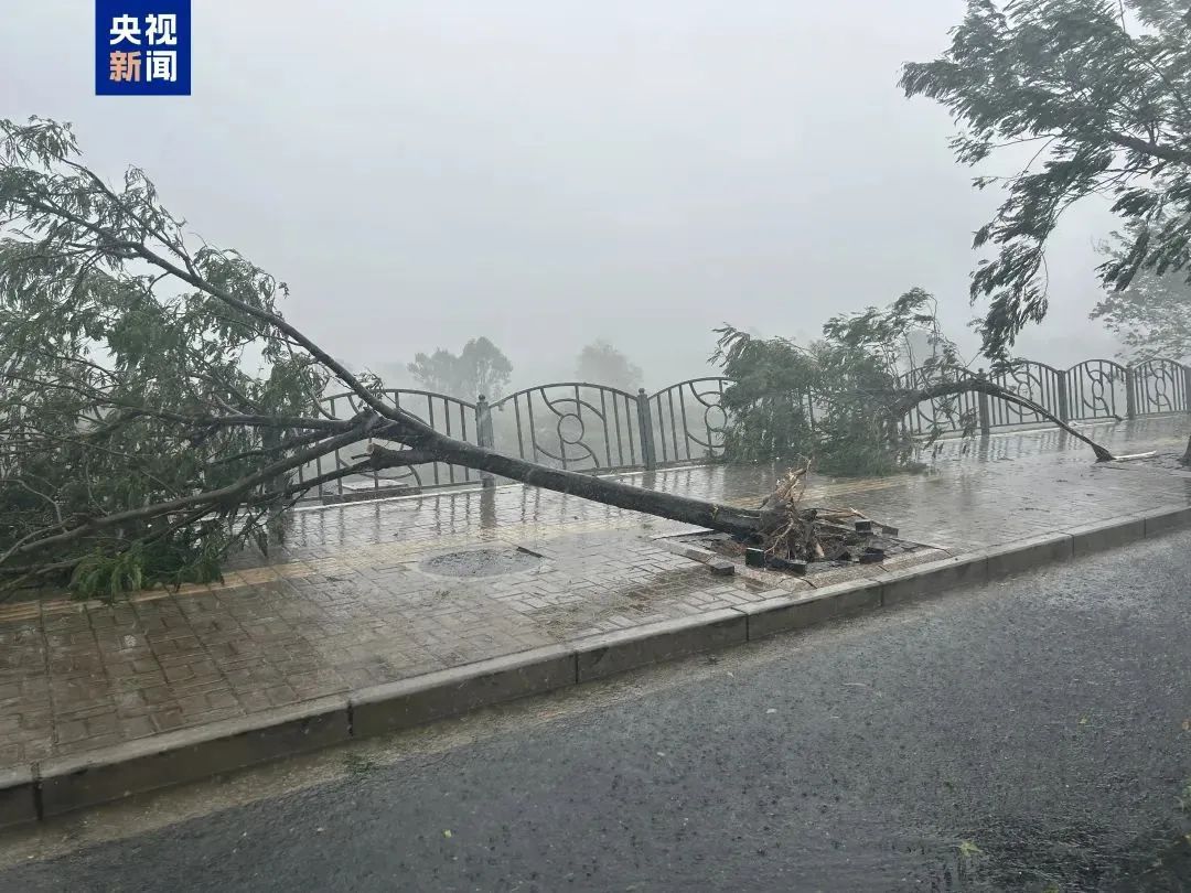 台风“贝碧嘉”已登陆，新台风再生成，会影响广东吗？