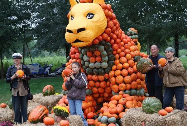 什么！这是灯？又被咱中华美学惊艳了！