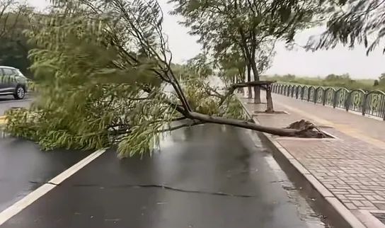刚刚,台风进入江苏!别出门!别出门! 刚刚,台风进入江苏!别出门!别出门!