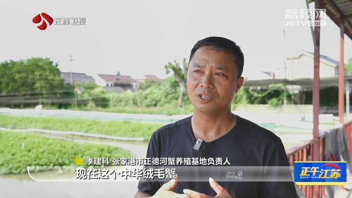 全聚焦│量减价涨！江苏多地螃蟹抢“鲜”上市