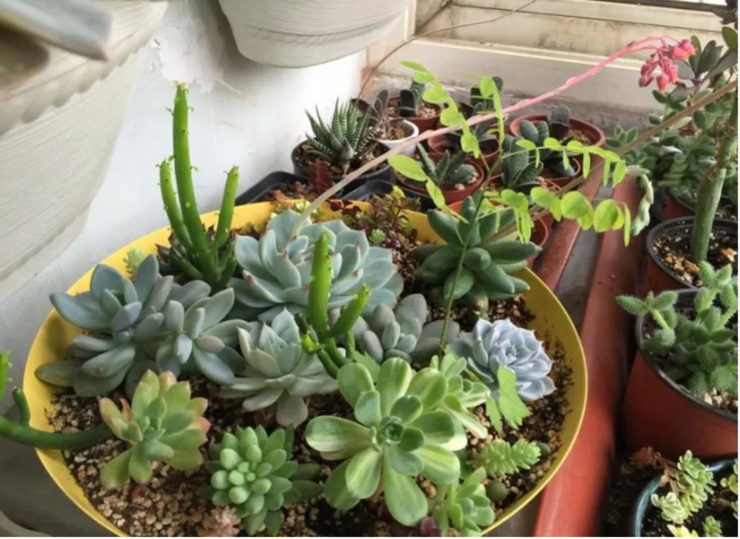 实验室里做月饼?!“报告!羡慕的泪水从嘴角流了出来……” 实验室里做月饼?!“报告!羡慕的泪水从嘴角流了出来……”