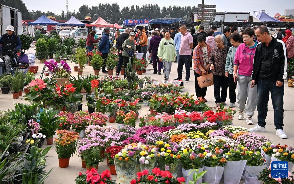 新华全媒+·国道之行 海阔天空｜“花式逛集”迎中秋